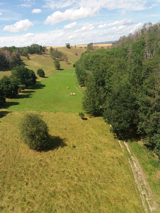 Bärental bei Braunsroda in Thüringen