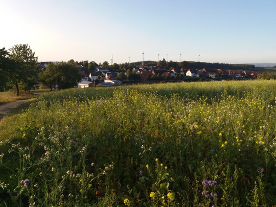 Blick auf Bömbsen im Kreis Höxter